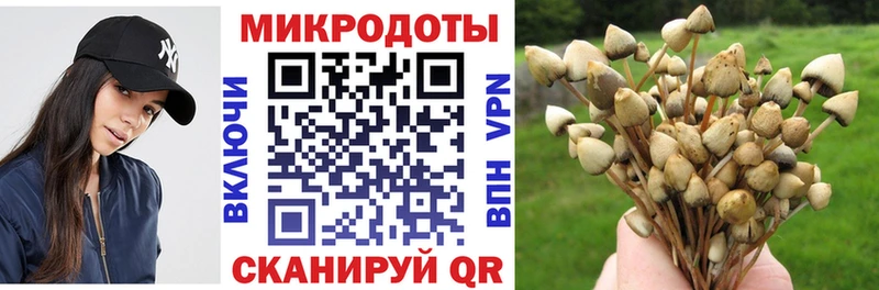 Псилоцибиновые грибы ЛСД  omg ССЫЛКА  Камешково 